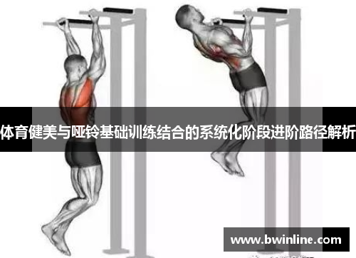 体育健美与哑铃基础训练结合的系统化阶段进阶路径解析